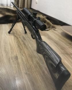 CZ 550 varmint laminat 308