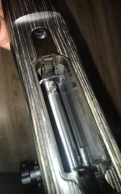 CZ 550 varmint laminat 308