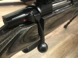 CZ 550 varmint laminat 308