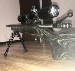 CZ 550 varmint laminat 308