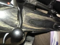 CZ 550 varmint laminat 308