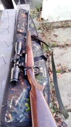 Cz 550