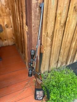 cz 550