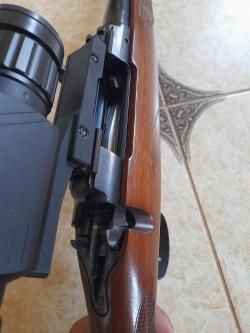 Cz 550