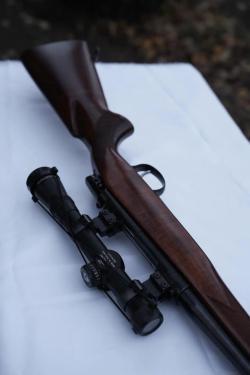 CZ 550