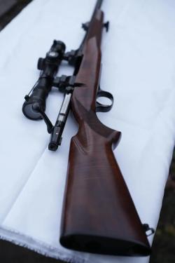 CZ 550