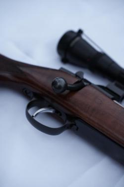 CZ 550