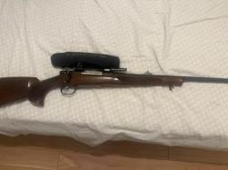 Cz 550lux