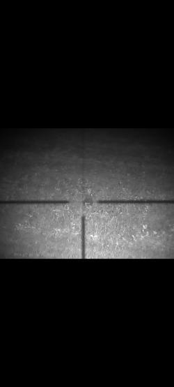 CZ 557 калибр 308 WIN