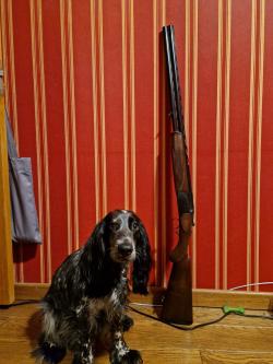 CZ Canvasback 12/76 760мм