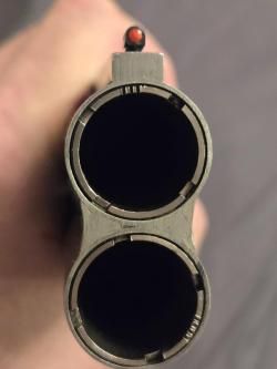 CZ Mallard 12/76