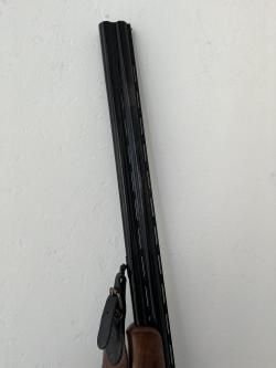 CZ mallard 