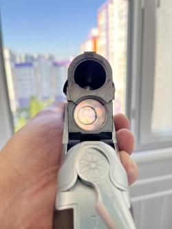 CZ mallard 