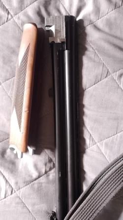 CZ Mallard 