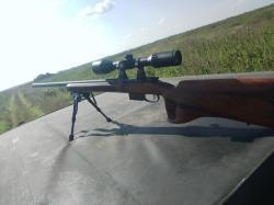 CZ 527 Varmint