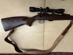 CZ ZKM 452-2E