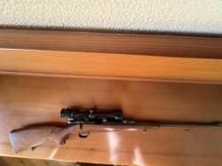 CZ452-2E ZKM