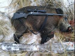 Cz527 Lux 223Rem/ЧЗ 527 223 калибр 