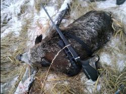 Cz527 Lux 223Rem/ЧЗ 527 223 калибр 