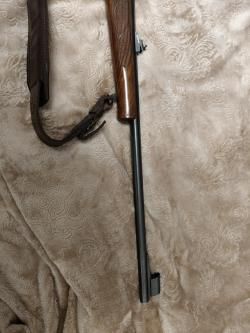 CZ550 Medium lux 9.3*62