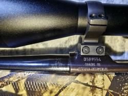 CZ550 Predator 308 Win