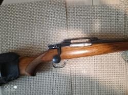 CZ550 standart 308Win