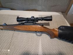 CZ550 standart 308Win