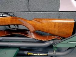 CZ550
