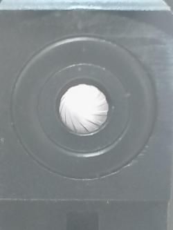  Diana 31 Panther Pro