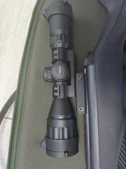  Diana 31 Panther Pro