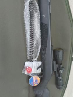  Diana 31 Panther Pro