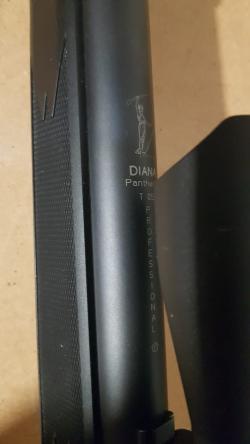  Diana 31 panther professional 