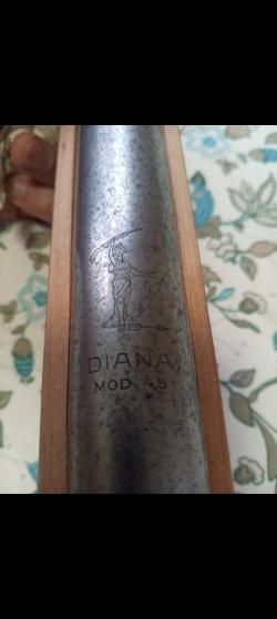 Diana 45