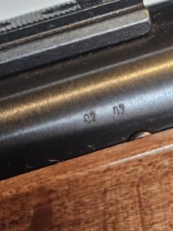 Diana Model 34 T 05