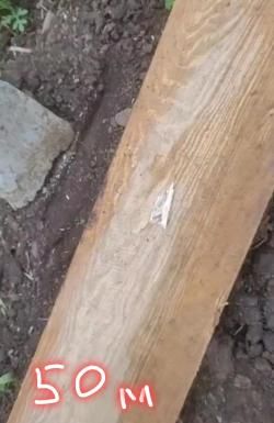 Доберман 350 Dobernan