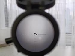 Доберман 5.5