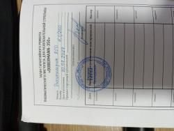 Доберман 5.5