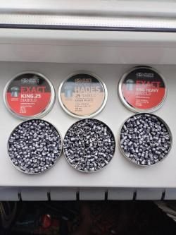 Доберман-коротыш 6.35