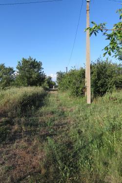 Доберман 310, 5,5