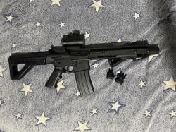 DPMS