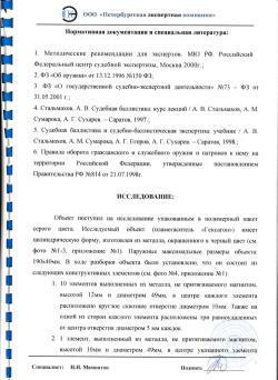 ДТКП Сайга TG2 .366 Magnum