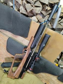 Дубрава хорт Магнум