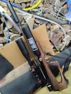 Дубрава хорт Магнум