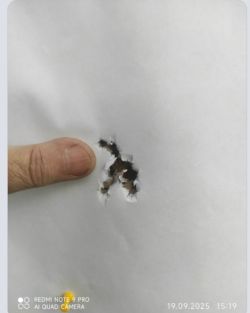 Дубрава Лесник 6.35