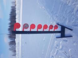 Дуэльное дерево для стрельбы оооп травмат, 22lr