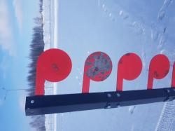 Дуэльное дерево для стрельбы оооп травмат, 22lr