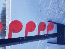 Дуэльное дерево для стрельбы оооп травмат, 22lr