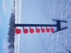 Дуэльное дерево для стрельбы оооп травмат, 22lr