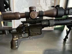 DVL-10 "Волкодав" 308 Win