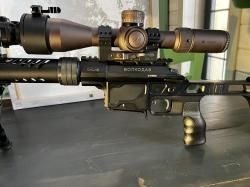 DVL-10 "Волкодав" 308 Win